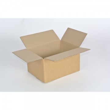 Dozen 100 stuks Lengte 20 Breedte 15  Hoogte 11